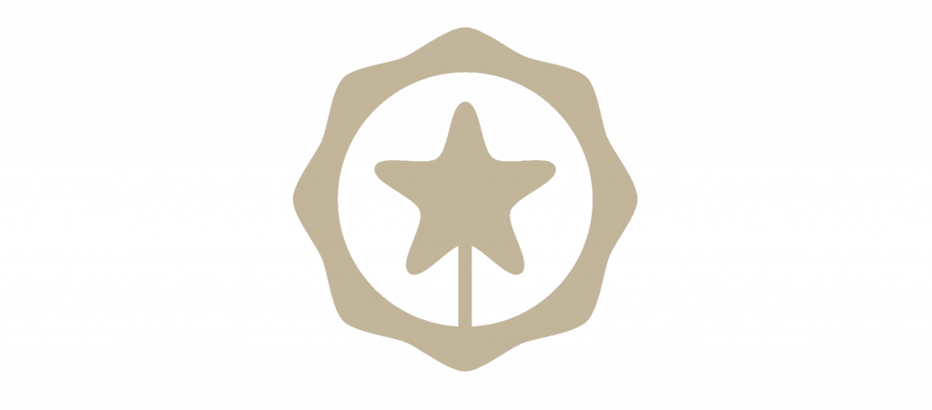 logo spain4weddings