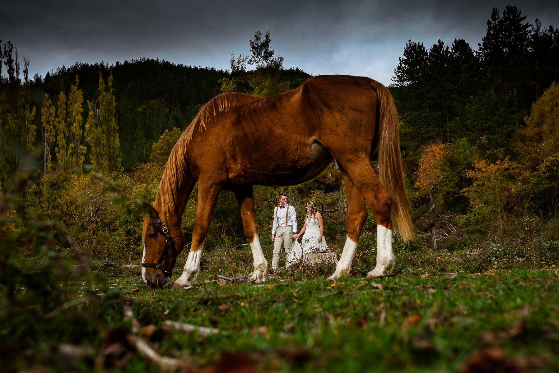 6 Wedding moments your photographer can't miss. Photo by Miguel Angel Muniesa